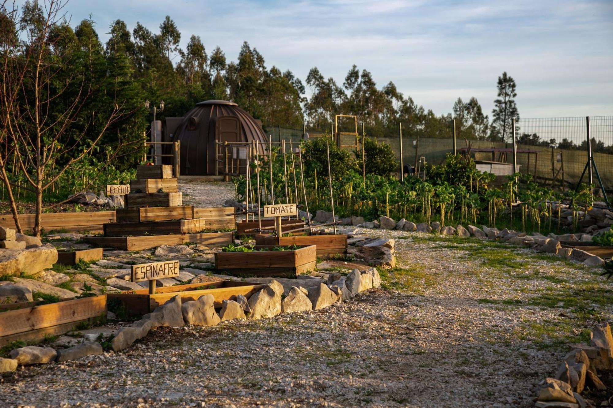 Casas Da Gralha Bed & Breakfast Turquel Luaran gambar