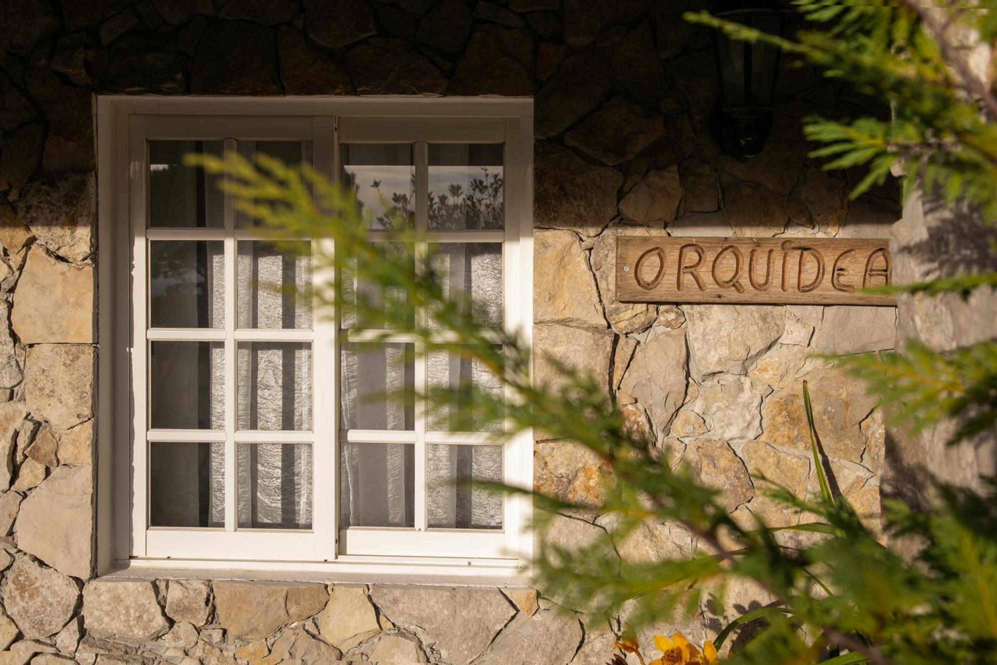 Casas Da Gralha Bed & Breakfast Turquel Bilik gambar